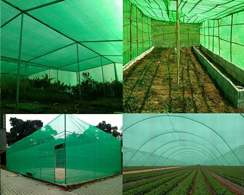 Shade Net